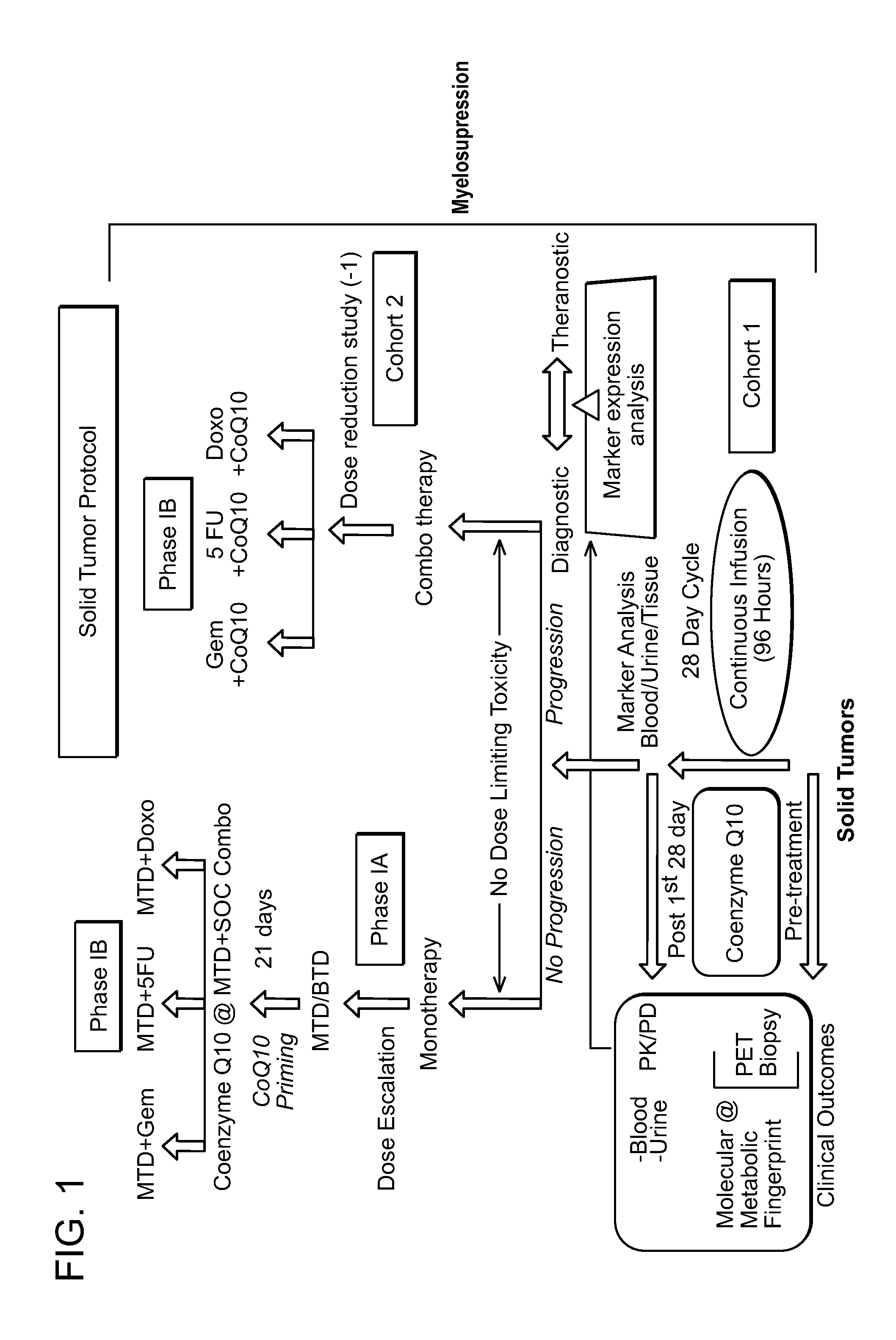 Methods of treatment of cancer by continuous infusion of coenzyme q10