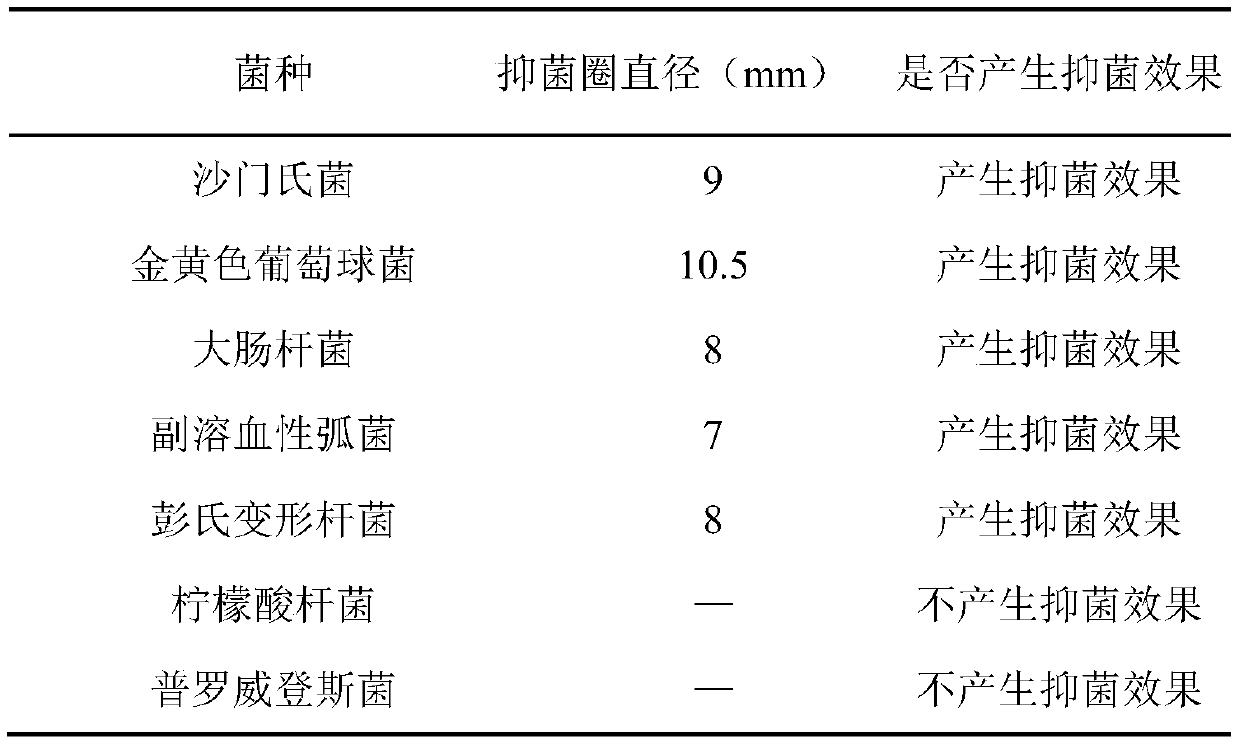 Composite biological preservative and application thereof