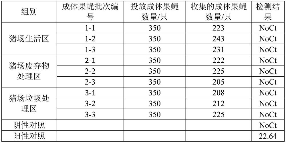 Method for detecting whether pig farm flies and their living environment carry African swine fever virus