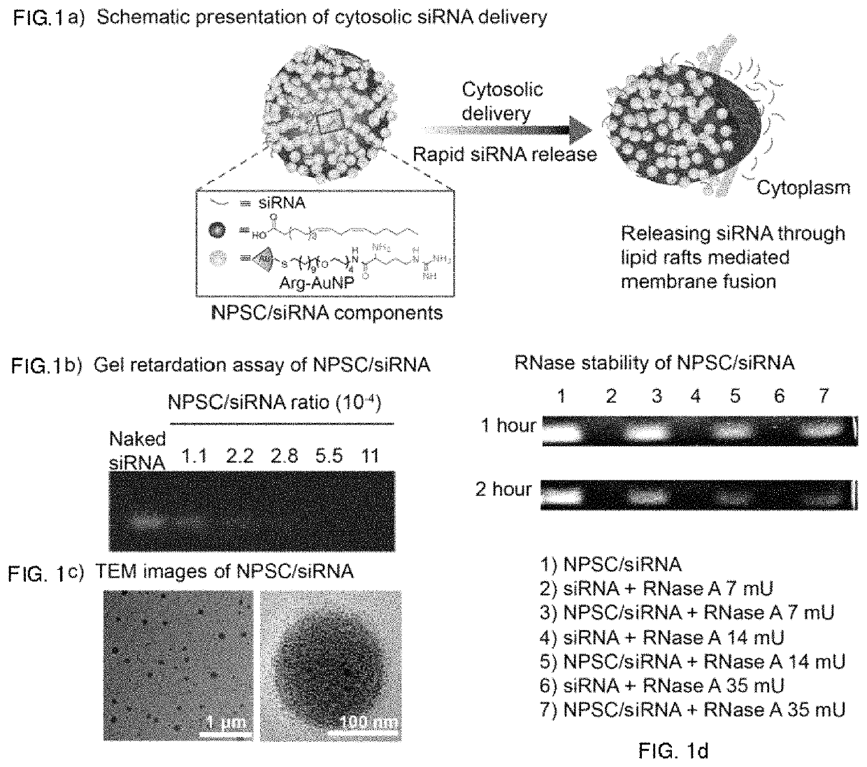 Nanoparticle-stabilized nanocapsules and methods of preparation and use for nucleic acid delivery