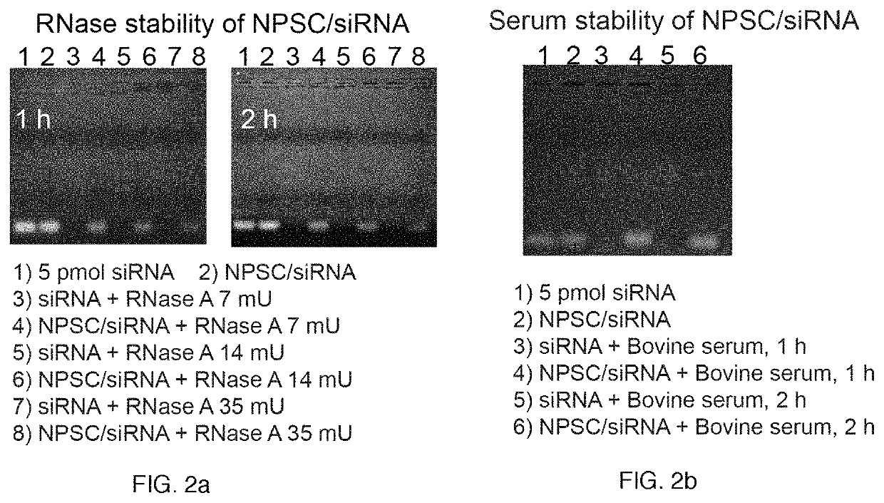 Nanoparticle-stabilized nanocapsules and methods of preparation and use for nucleic acid delivery