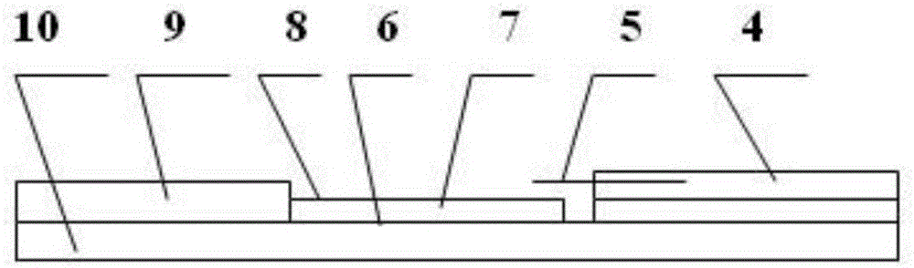 Preparation method of human parvovirus antigen and rapid detection kit prepared for detecting parvovirus B19 type antibody through antigen