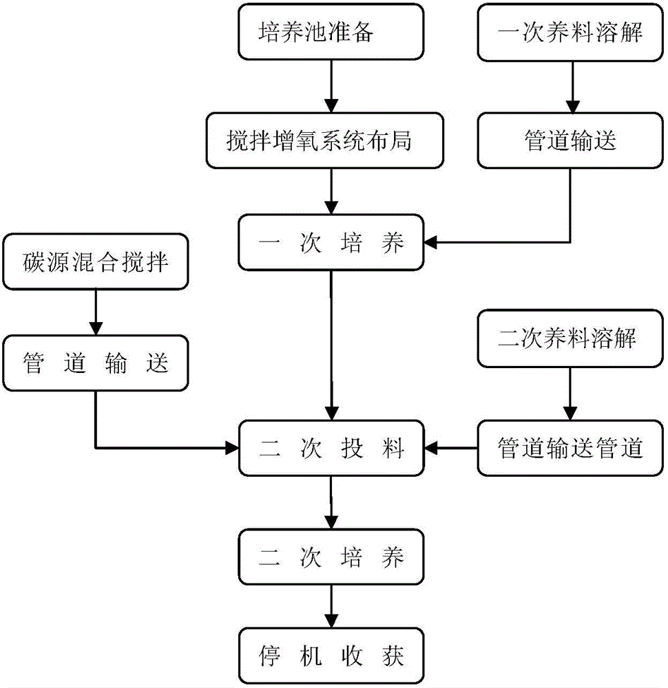 Industrial culturing method of microbial biomass, and system used for realizing industrial culturing method