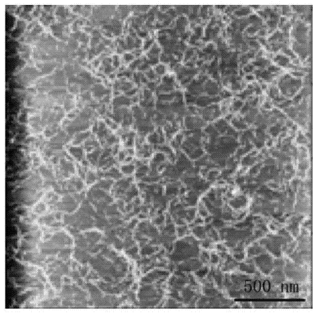 Polypeptides, polypeptide compositions, and polypeptide biological materials as well as their preparation methods and uses