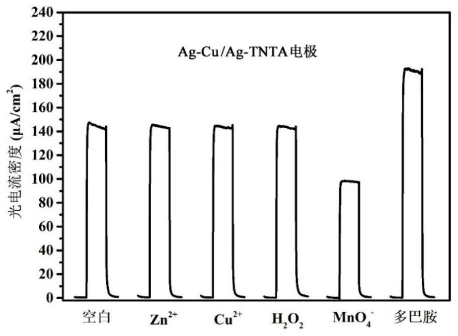 A preparation method of titanium oxide nanotube array-based photoelectrochemical detection electrode