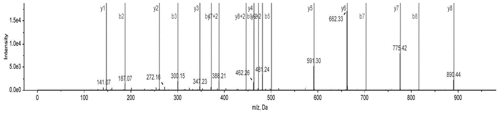 Method for identifying thelenota ananas by means of special peptide fragment group