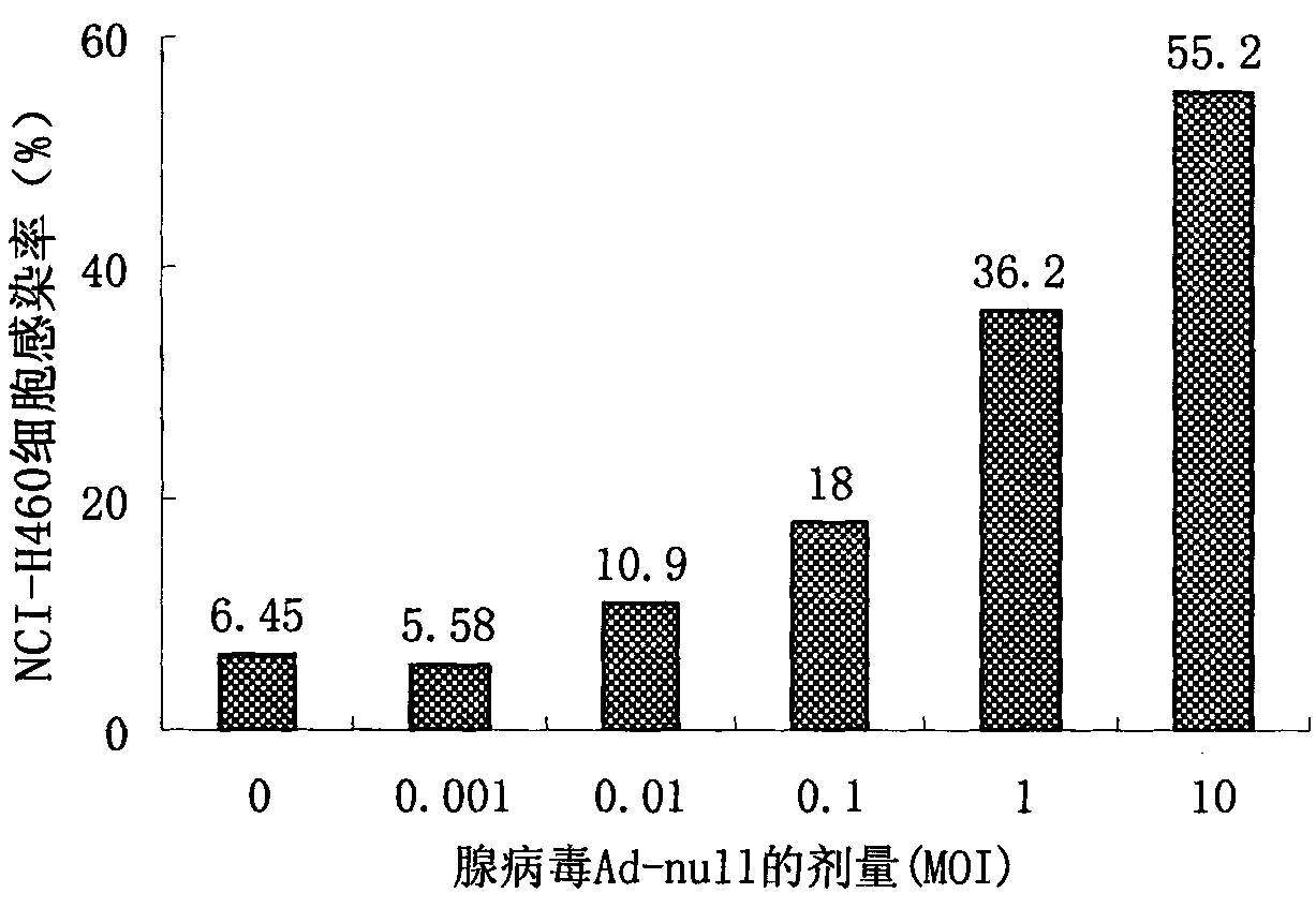 Method for selectively replicating replication-defective adenovirus and application