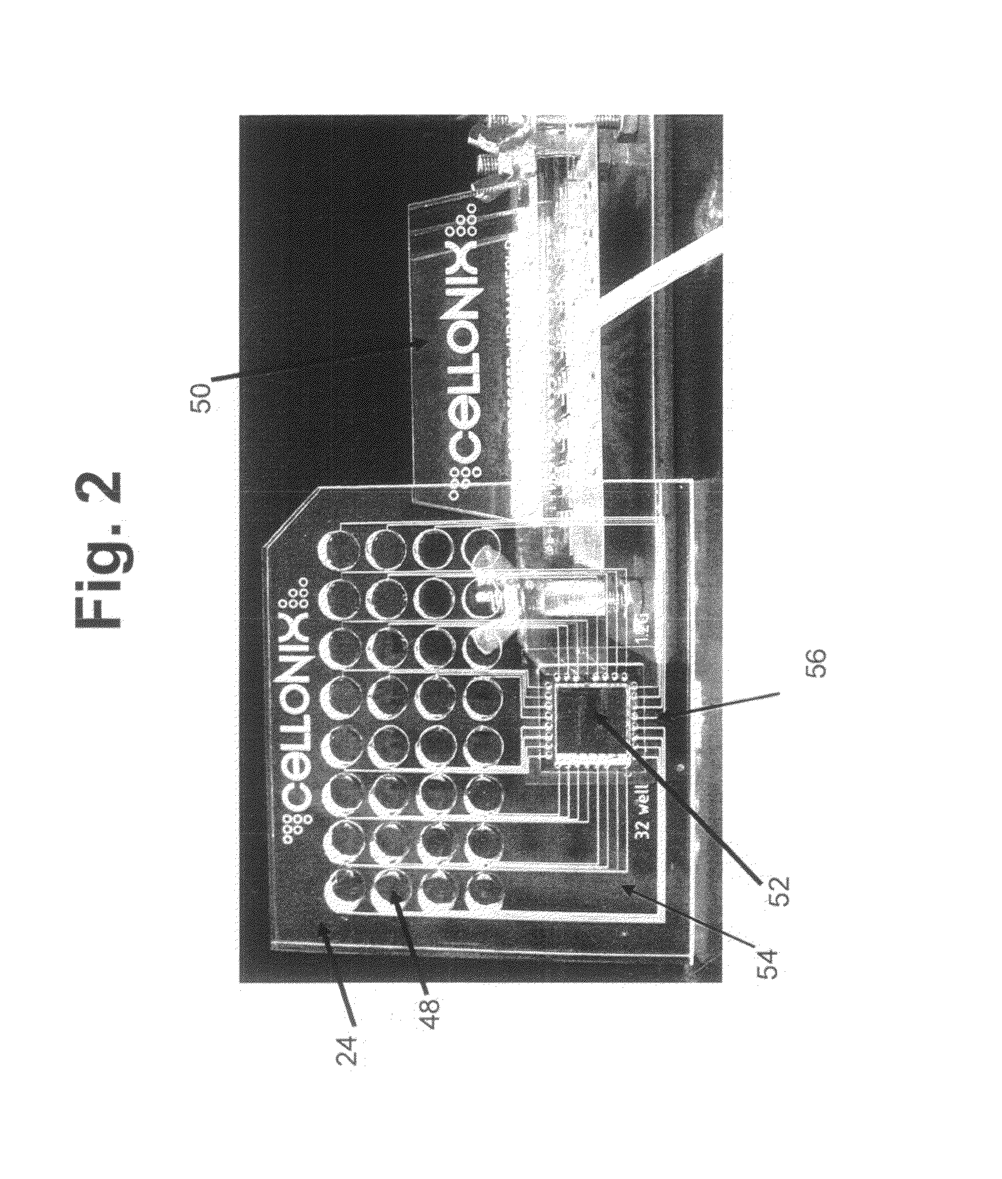 Microwell cell-culture device and fabrication method
