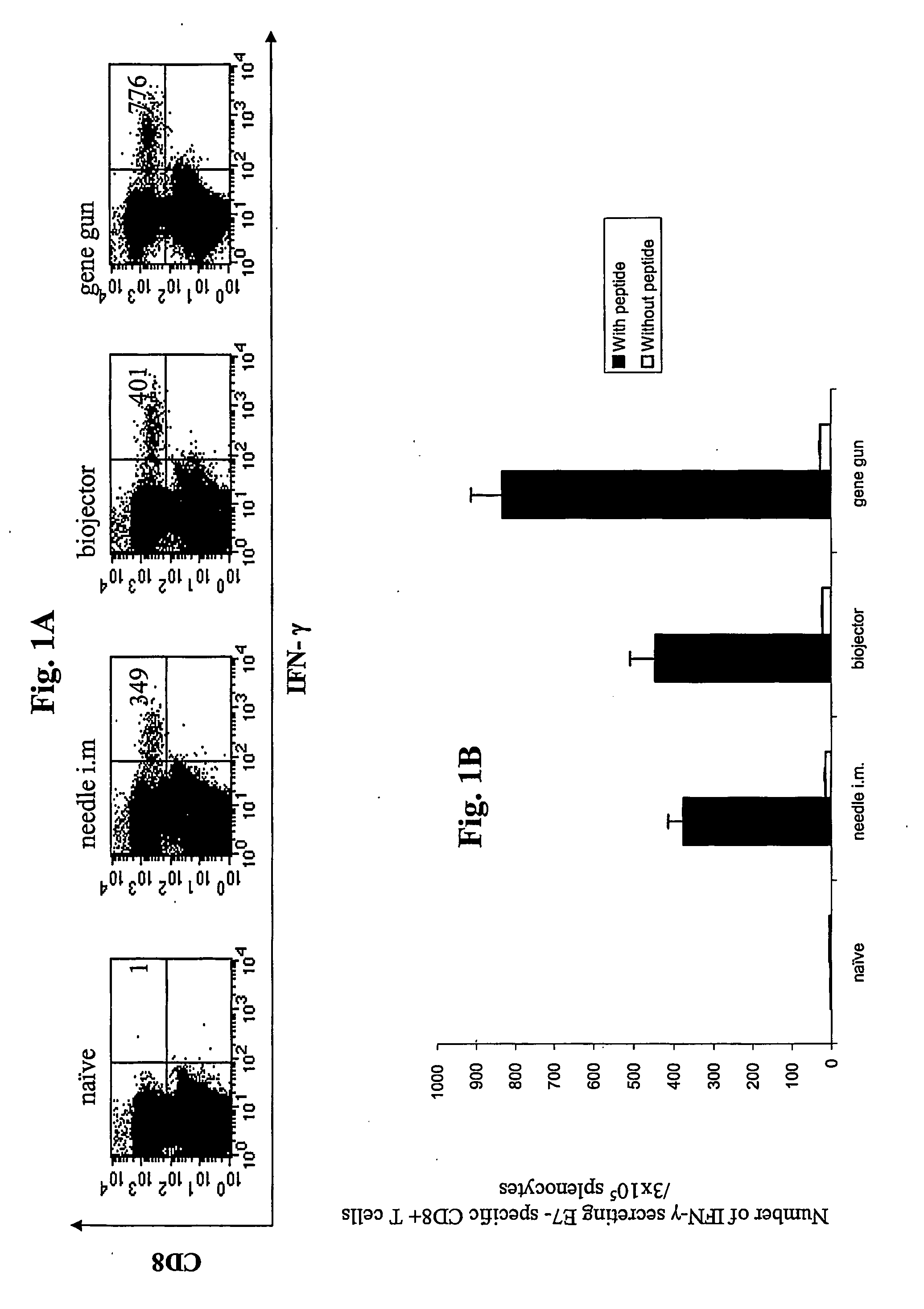 Anti-cancer DNA vaccine employing plasmids encoding signal sequence, mutant oncoprotein antigen, and heat shock protein