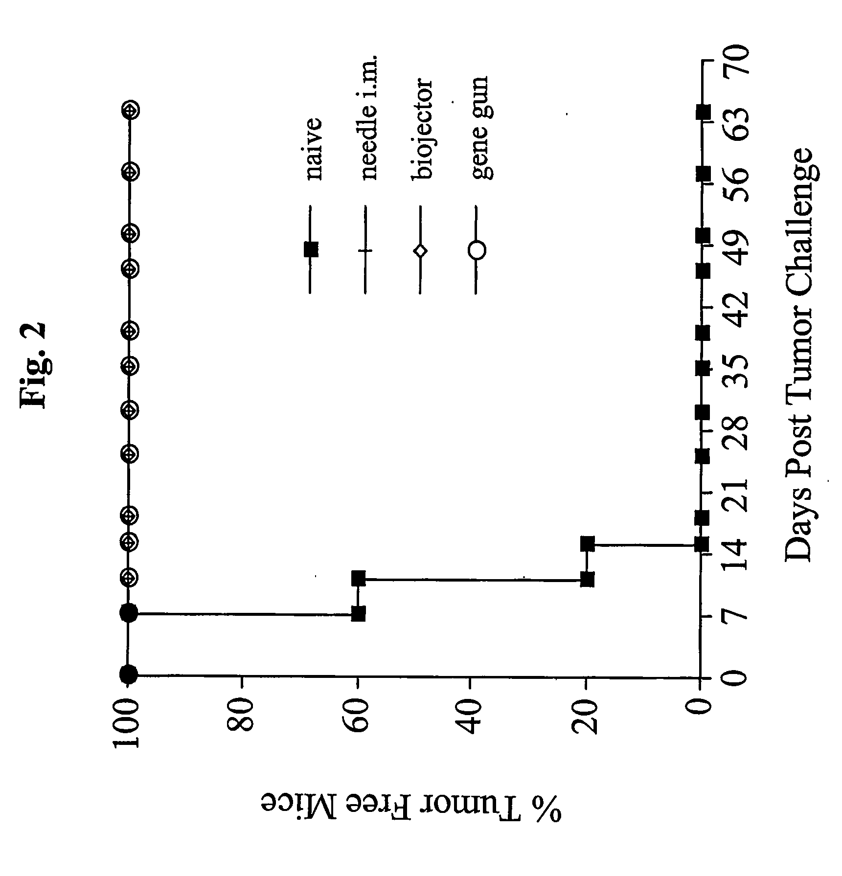 Anti-cancer DNA vaccine employing plasmids encoding signal sequence, mutant oncoprotein antigen, and heat shock protein