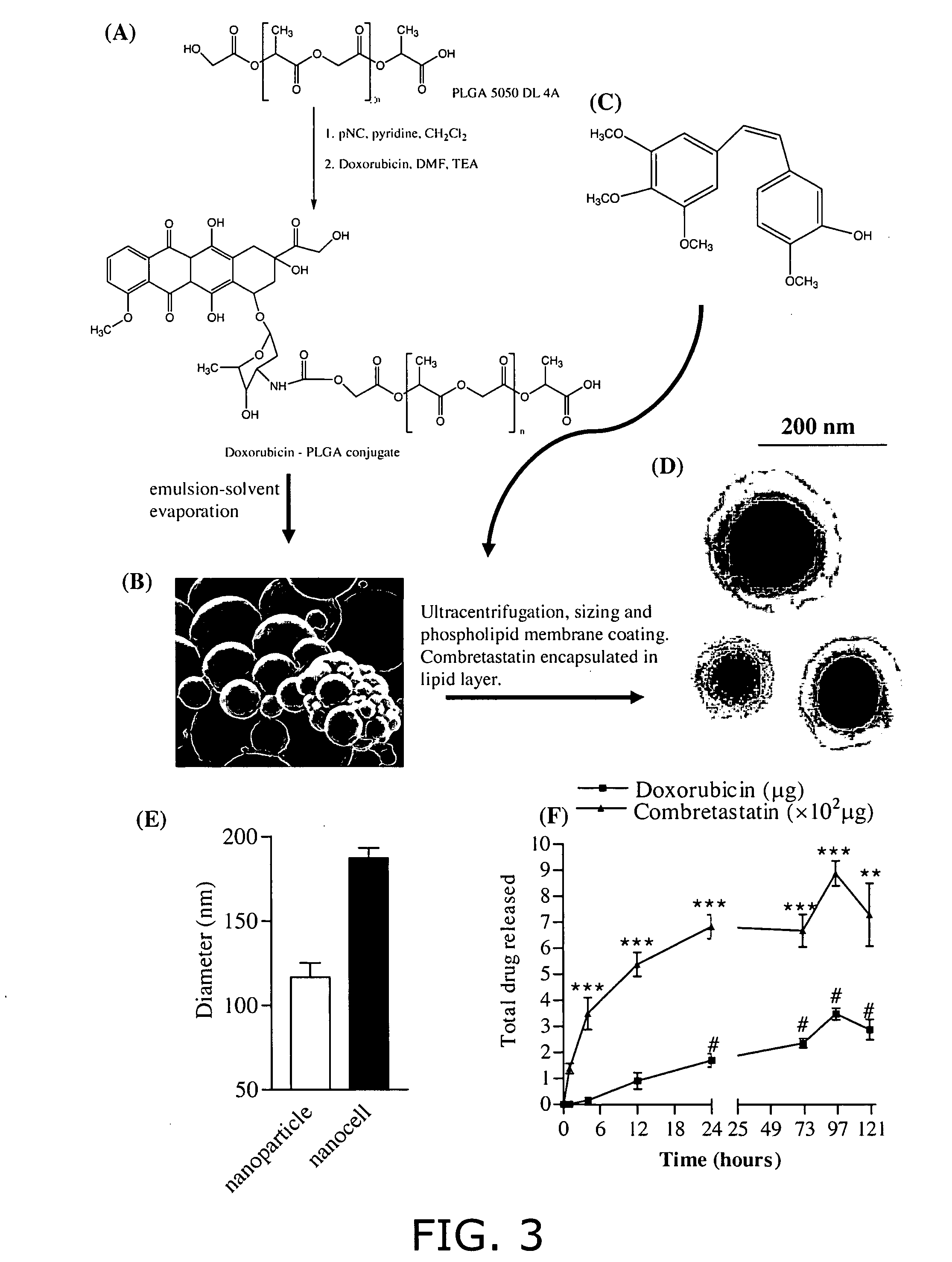 Nanocell drug delivery system