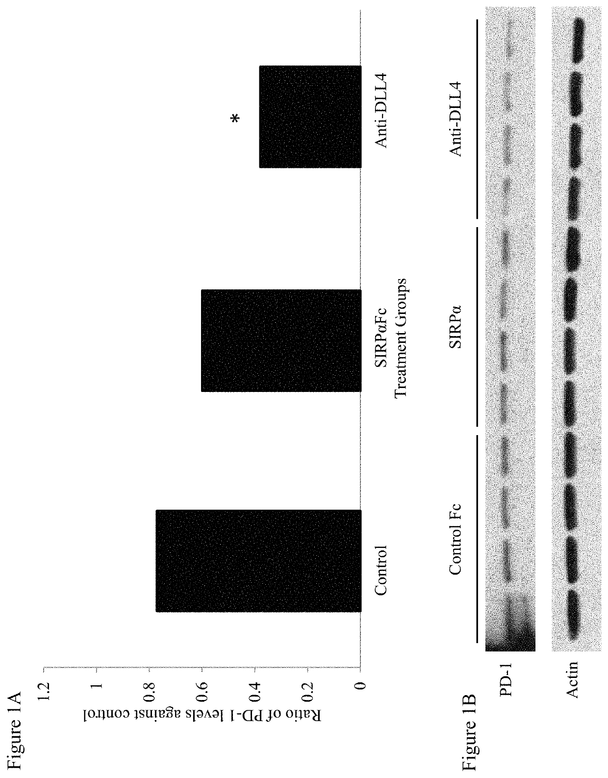 Combination therapy for treatment of disease