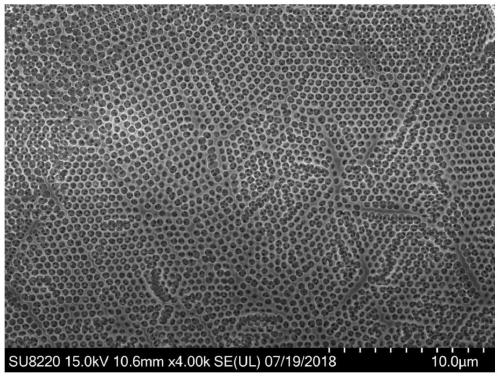Carbon quantum dot-modified bismuth tungstate/ordered macroporous fluorine-doped tin oxide composite photocatalyst, and preparation method and application thereof