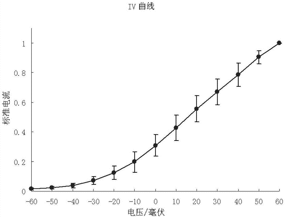 Host cell for expressing KCNQ1/KCNE1 protein and preparation method of host cell