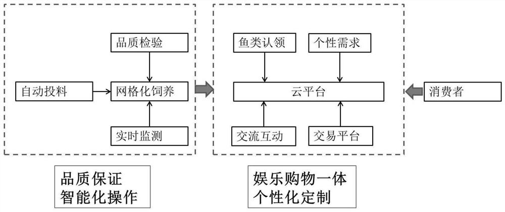 Entertainment and shopping integrated intelligent fish transaction platform