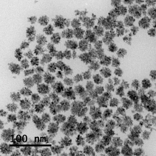 Preparation method of multi-layer nanoscale platinum-nickel alloy nano dendritic crystal material