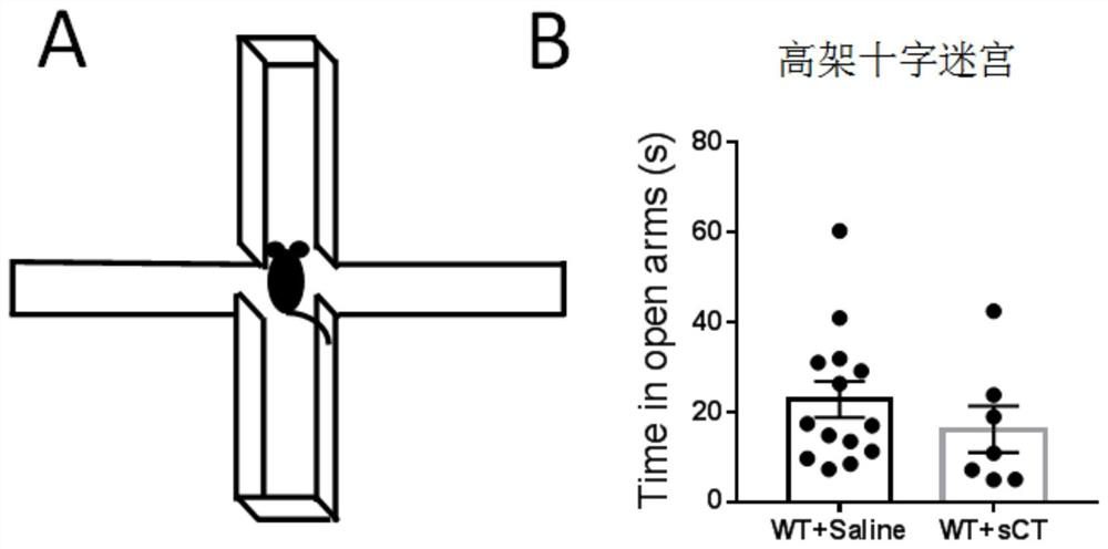 Application of salmon calcitonin in preparation of drugs for treating depression