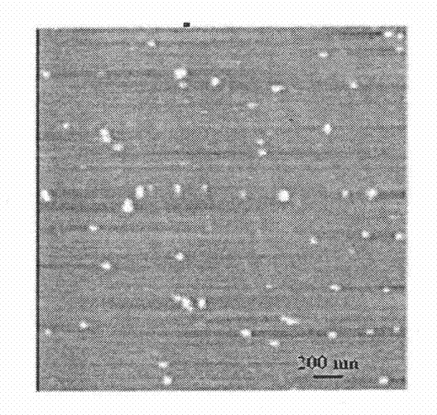 Modified chitosan targeted medicament carrying nano microsphere and preparation method thereof