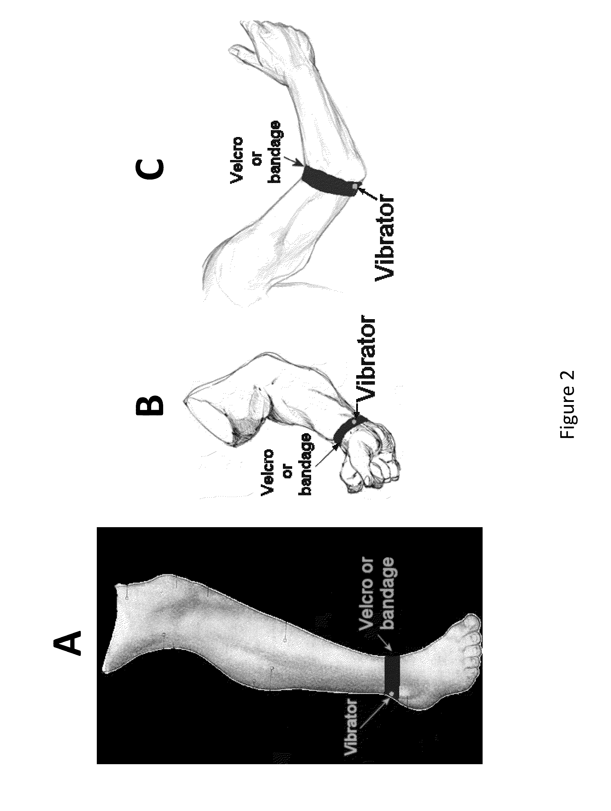 Device, System and Method for Facilitating Breathing Via Simulation of Limb Movement