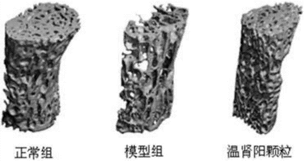Chinese herbal medicine compound preparation for treating primary osteoporosis and preparation method thereof