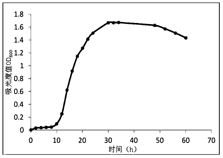 A chitosanase-producing and antifungal Burkholderia strain and its application