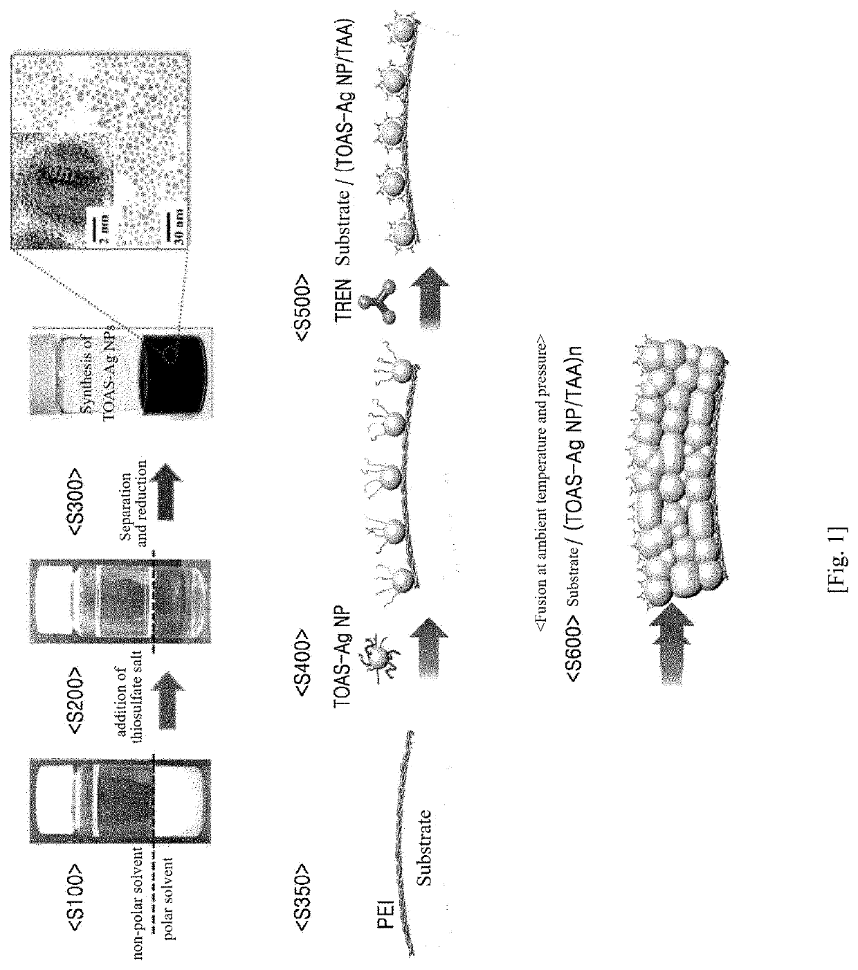 Method for preparing silver nanoparticles stabilized with tetraoctylammonium, and method for producing electrically conductive thin film by using silver nanoparticles prepared by same