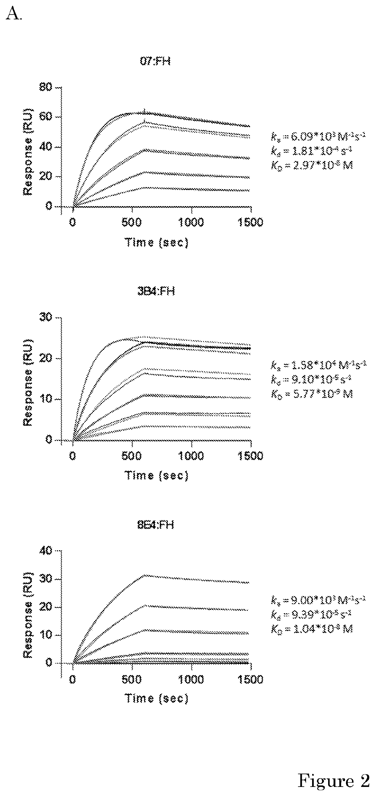 Factor H potentiating antibodies and uses thereof
