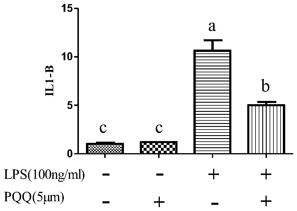 Application of pyrroloquinoline quinine in relieving animal cell and intestinal inflammation induced by lipopolysaccharide