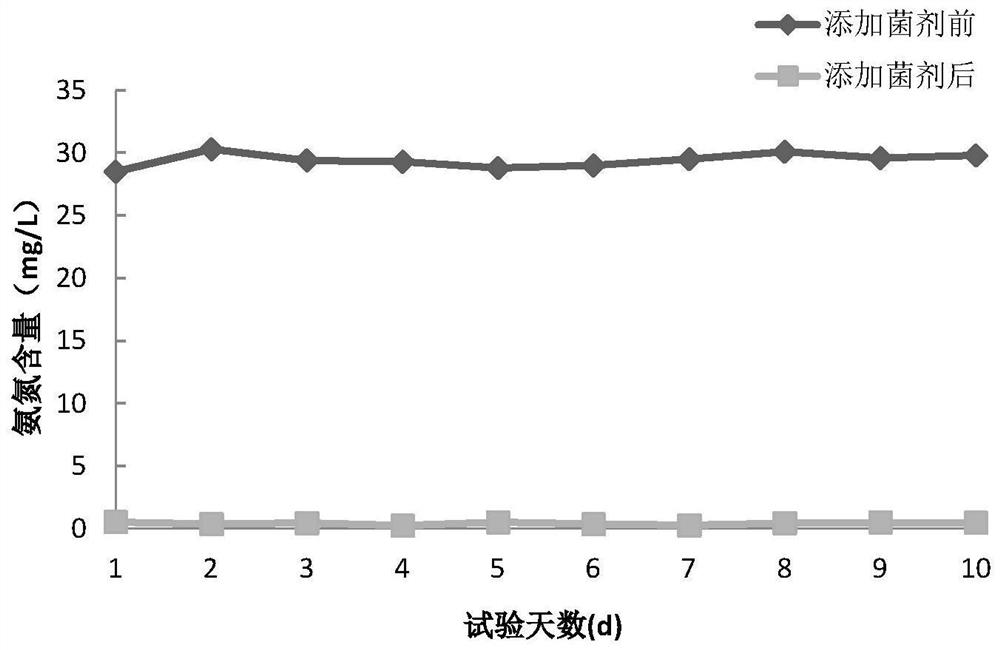 A thiourea-degrading bacterial strain and a method for treating thiourea-containing wastewater using the strain