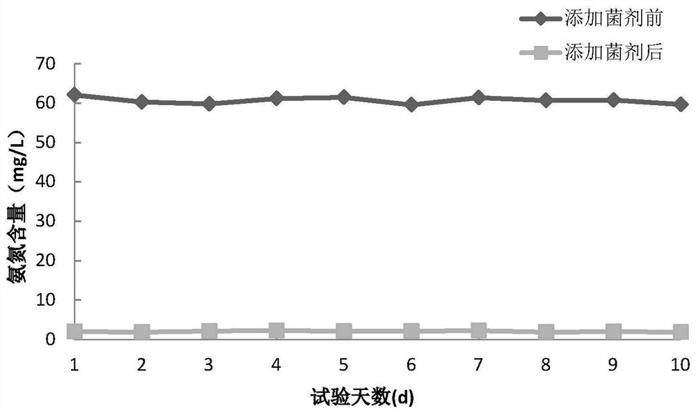 A thiourea-degrading bacterial strain and a method for treating thiourea-containing wastewater using the strain