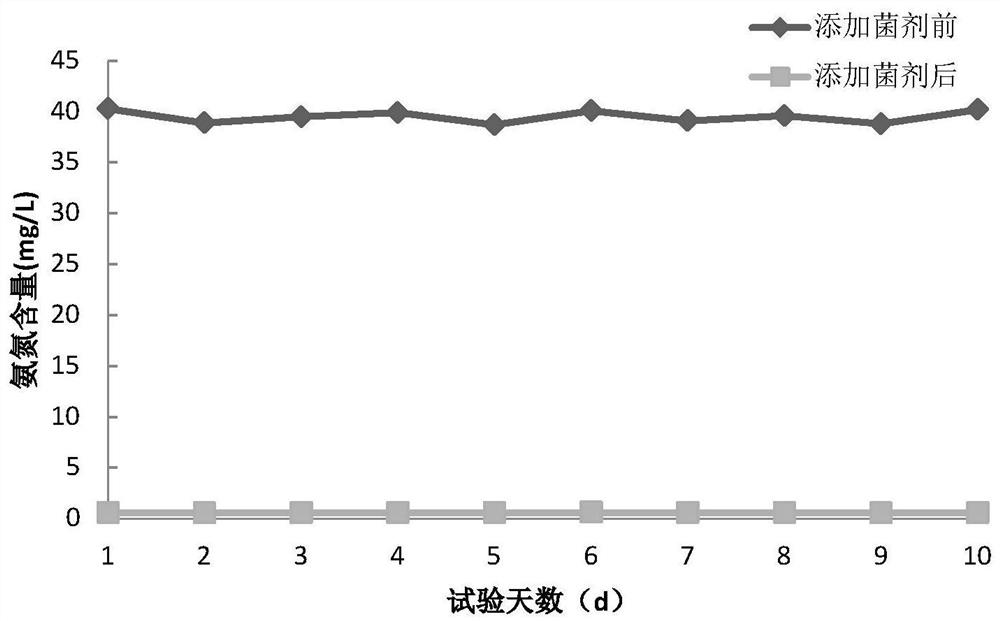 A thiourea-degrading bacterial strain and a method for treating thiourea-containing wastewater using the strain