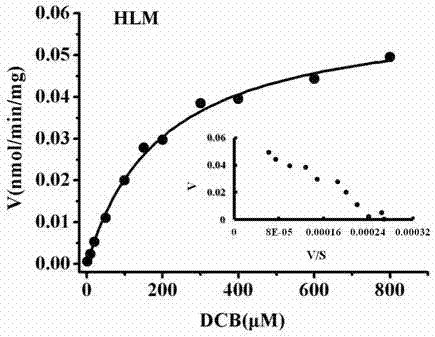 Application of deacetylated cinobufagin as a specific probe substrate for ugt1a4-catalyzed o-glucuronide conjugation