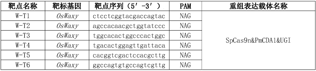 Application of SpCas9n&PmCDA1&UGI base editing system to editing of plant genes