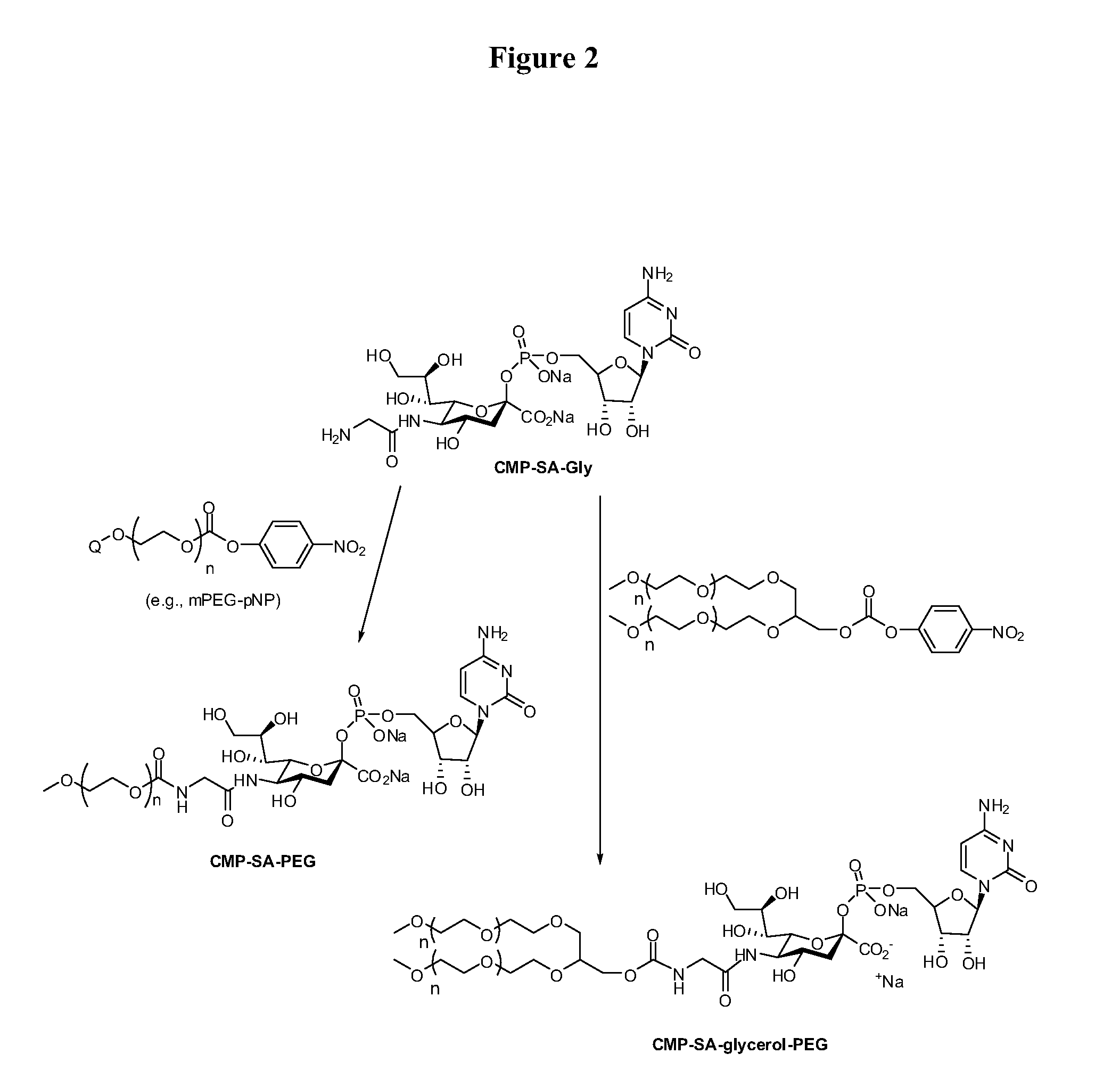 Process for the production of nucleotide sugars