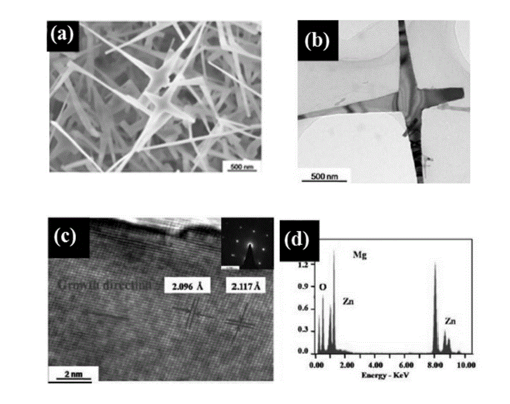 Water chestnut type high-magnesium-content Zn&lt;1-x&gt;Mg&lt;x&gt;O nanometer structure and preparation method thereof
