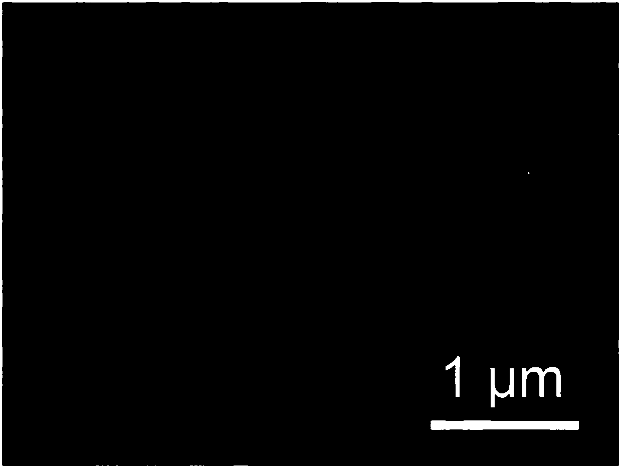 A kind of preparation method of flaky cu9fe9s16 nanometer flower