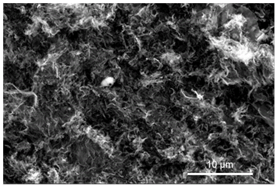 Nitrogen-doped carbon aerogel prepared by utilizing natural-structure macromolecular nano-fiber aerogel and preparation method of nitrogen-doped carbon aerogel
