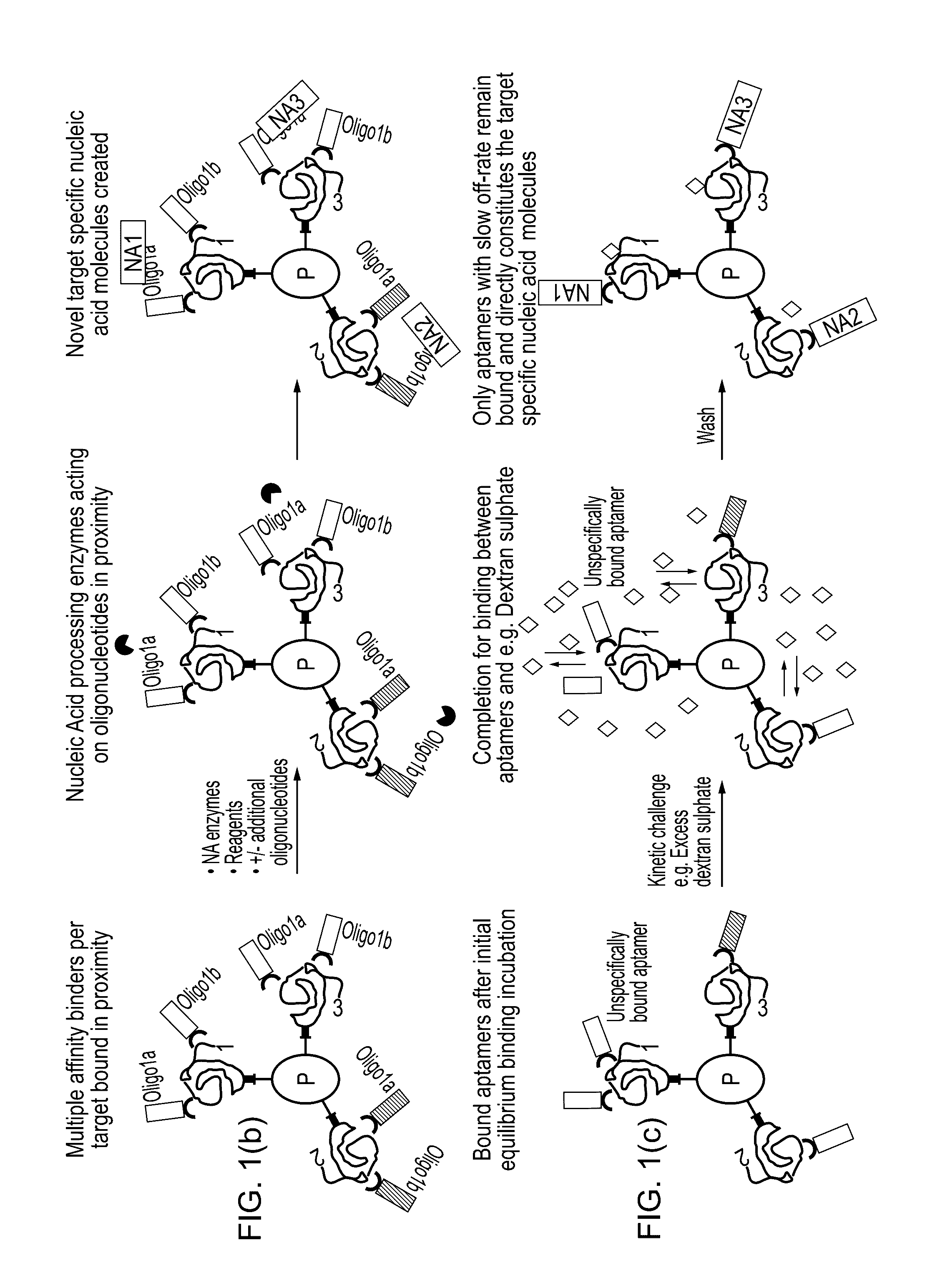Method for protein analysis