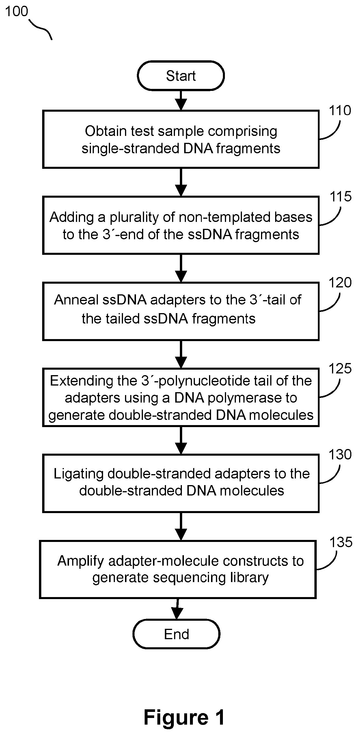 Methods for preparing a sequencing library from single-stranded DNA