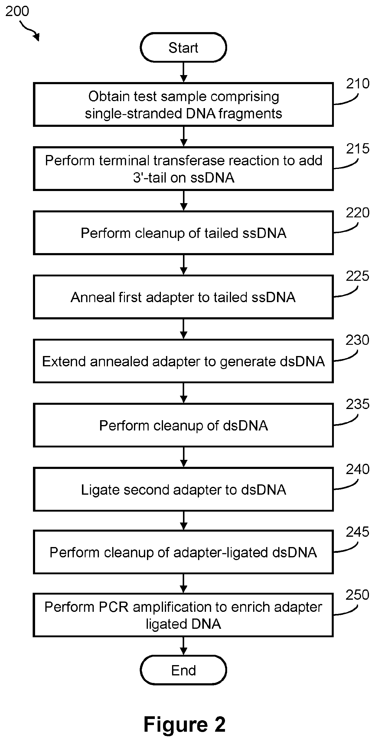 Methods for preparing a sequencing library from single-stranded DNA