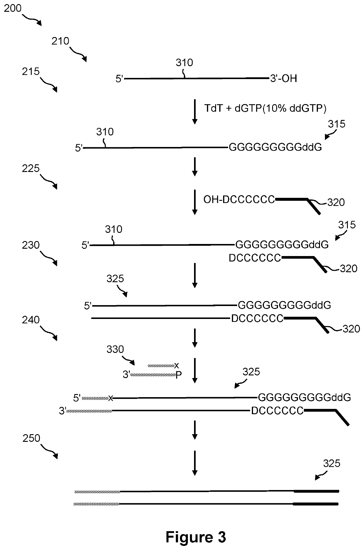 Methods for preparing a sequencing library from single-stranded DNA