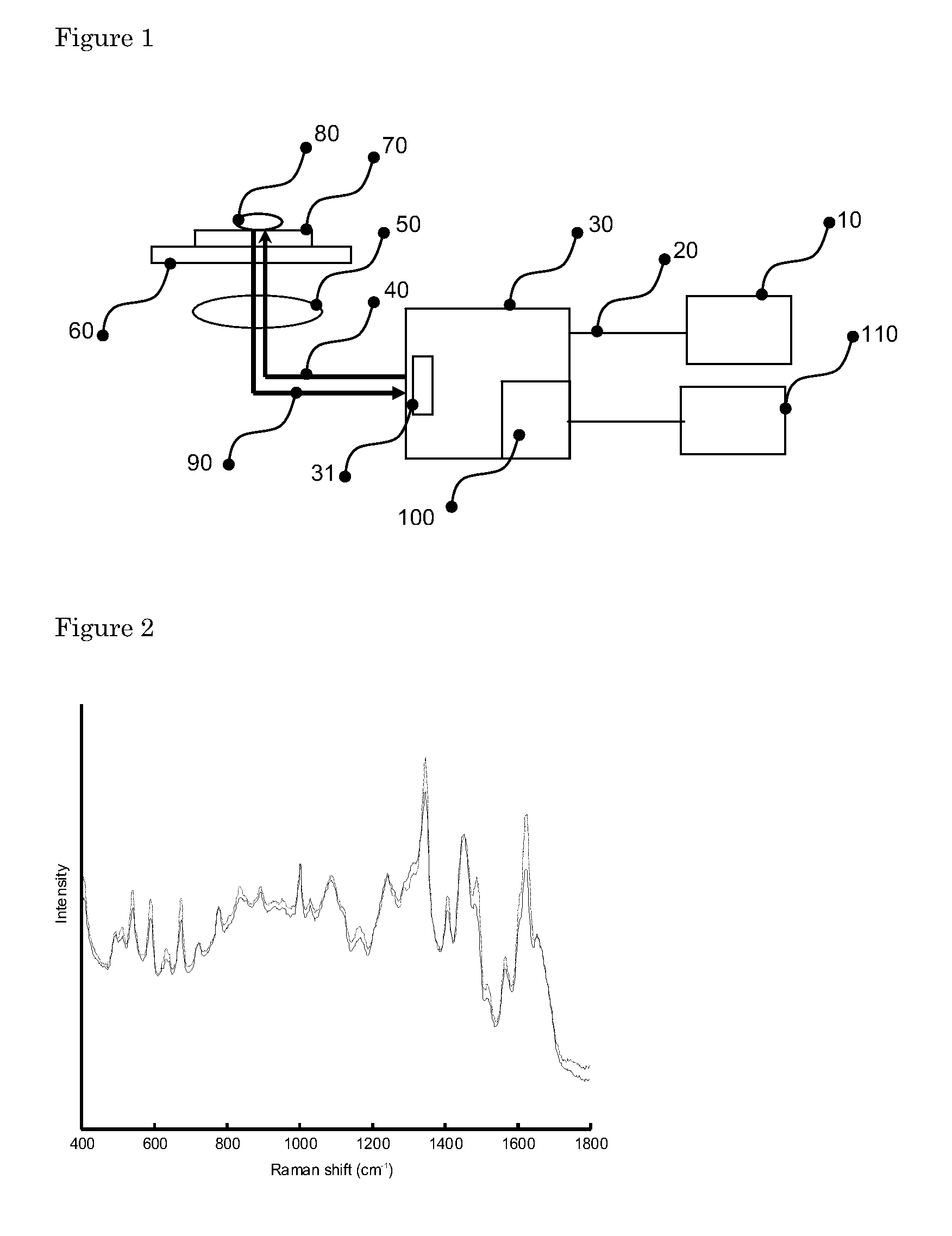 Method for typing and identification of micro-organisms