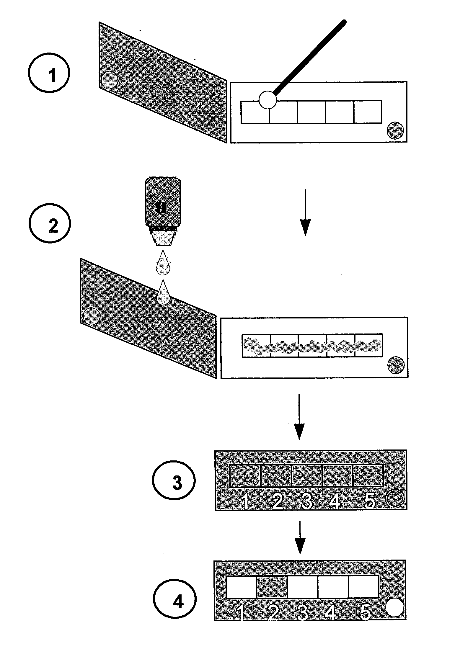 Methods and Kits for Direct Detection and Susceptibility Profiling of Beta-Lactam Resistant Bacteria