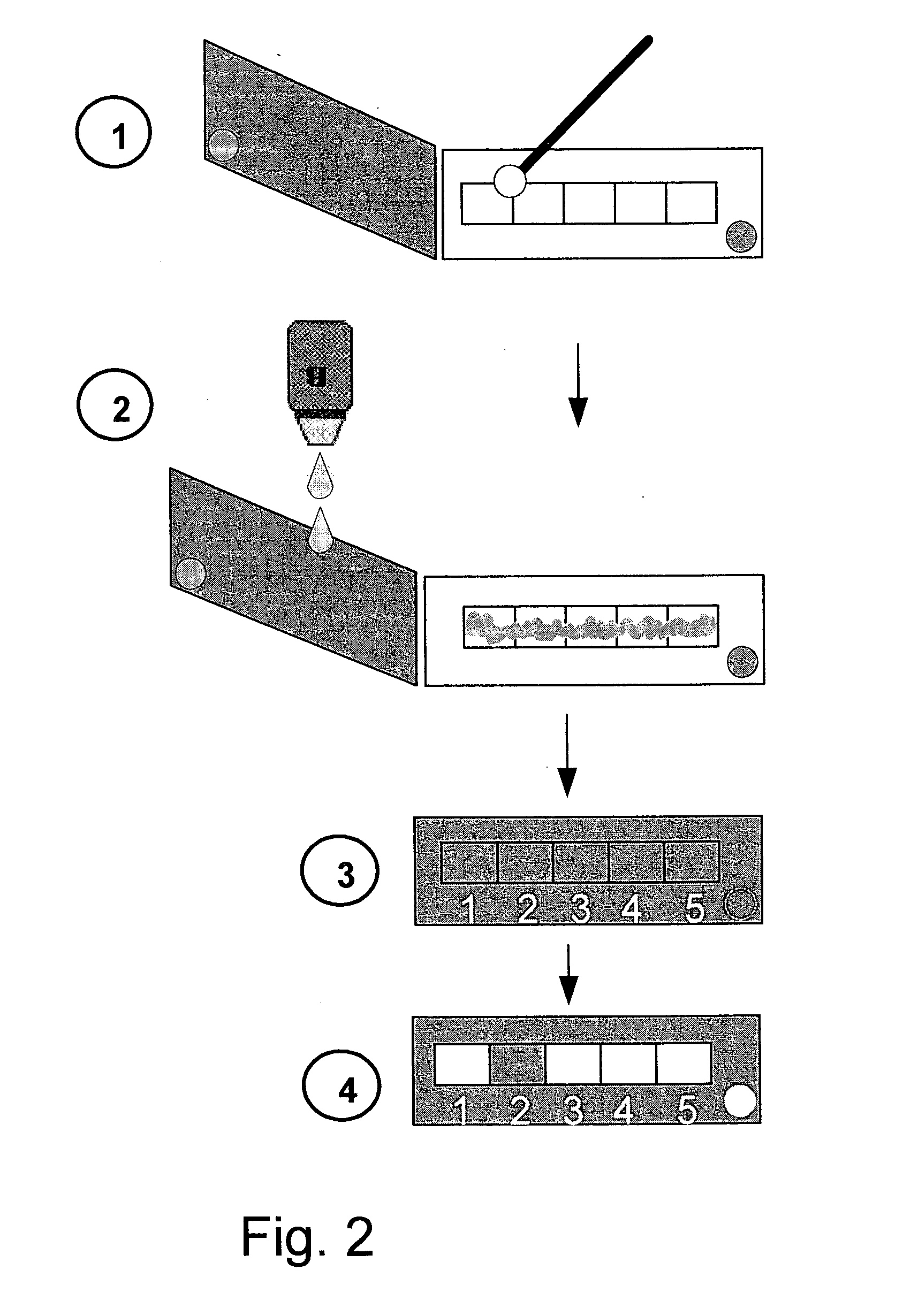 Methods and Kits for Direct Detection and Susceptibility Profiling of Beta-Lactam Resistant Bacteria