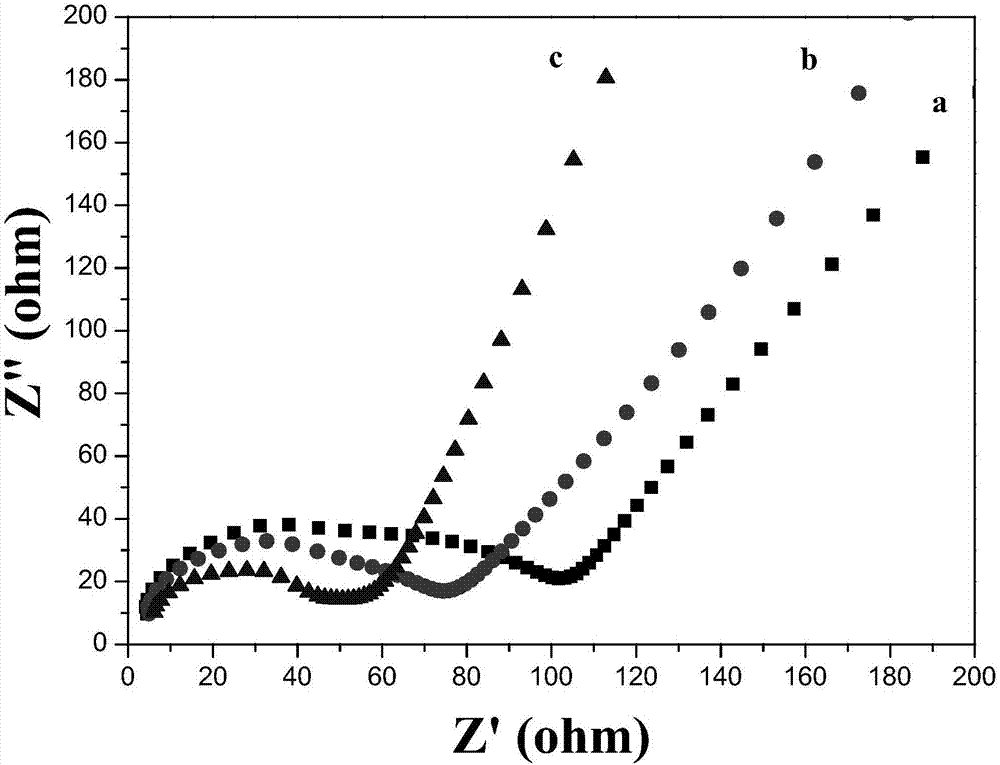 Microcystins-LR molecular imprinting photo-electrochemical sensor and preparation and application thereof