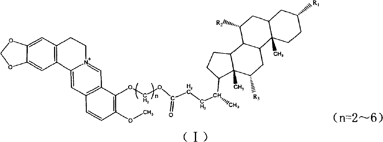 New derivatives of berberine coupled with cholic acid at ninth position through ester bond and preparation methods thereof
