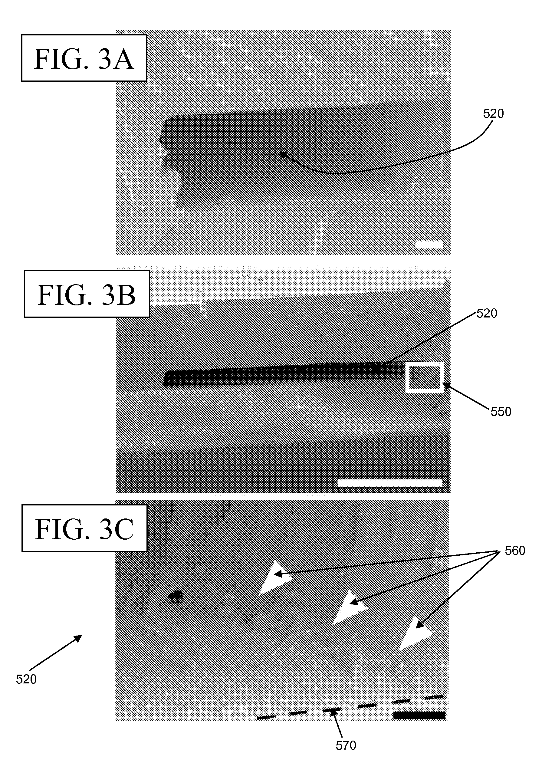 Microfluidic device comprising silk films coupled to form a microchannel