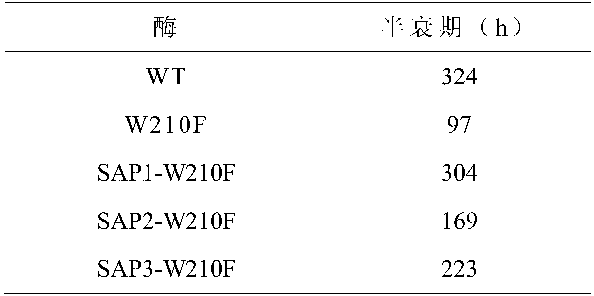 Raw maltogenic amylase production bacterial strain