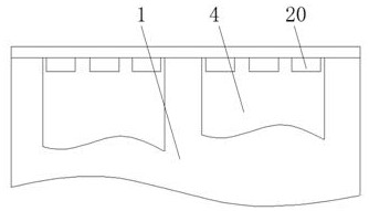 Dust removal equipment for astragalus sinicus seed processing and operation method of dust removal equipment