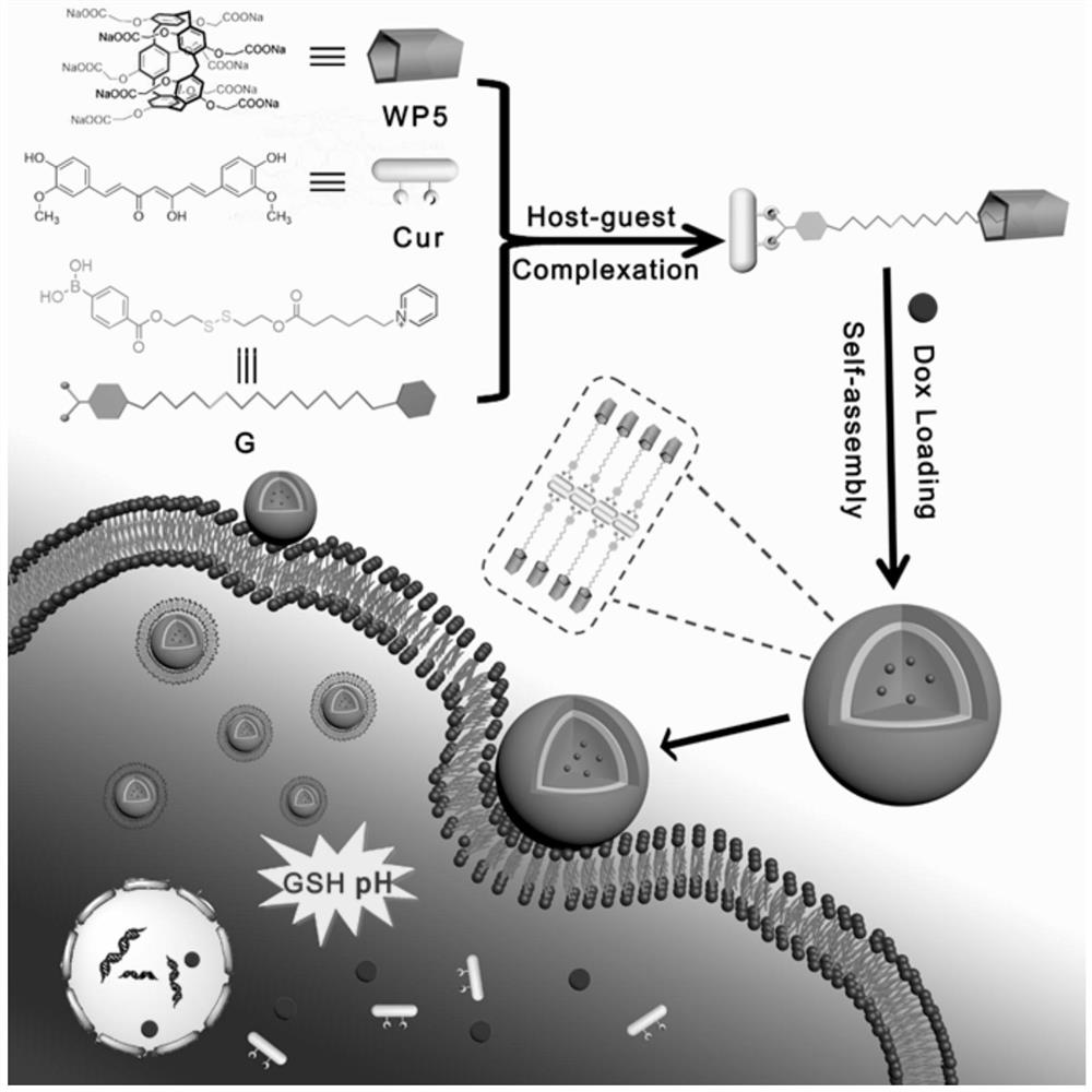 PH-GSH dual-responsiveness nano curcumin prodrug loading system